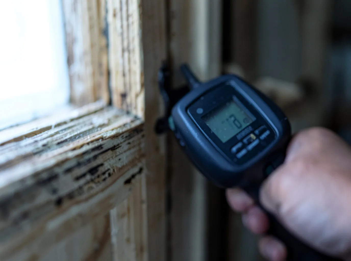 Commercial Water Damage Restoration in Burlington, WV